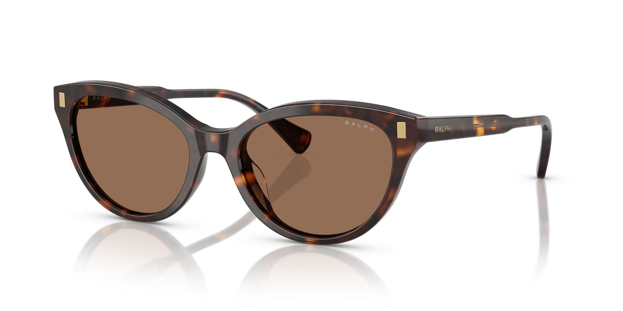 500373 - Tortoise - Brown
