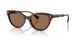 500373 - Tortoise - Brown