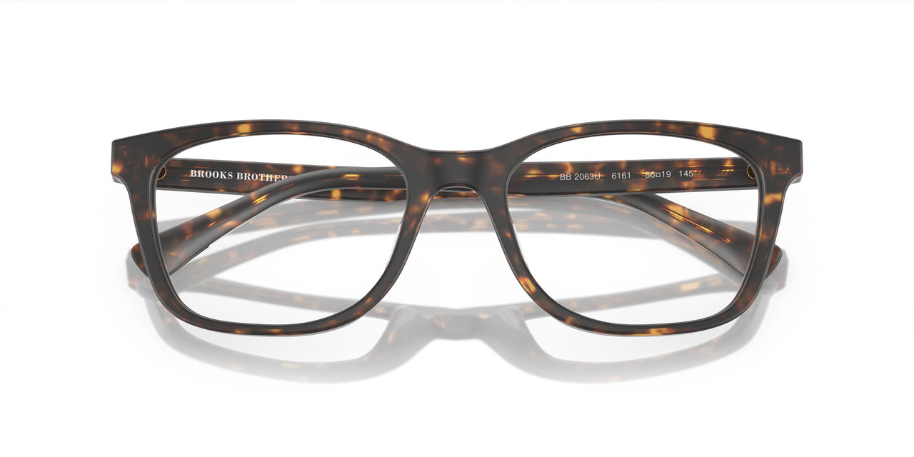 6161 - Tortoise