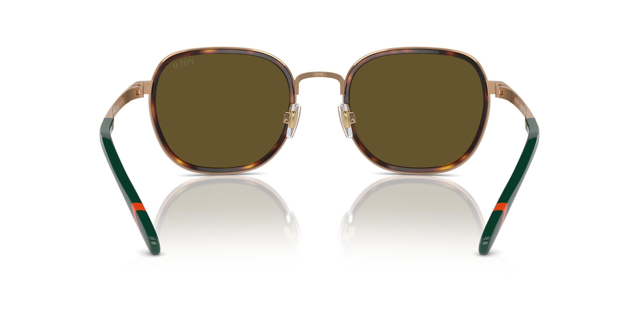 944973 - Tortoise - Olive Green