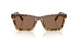 14L60M - Tortoise - Dark Brown