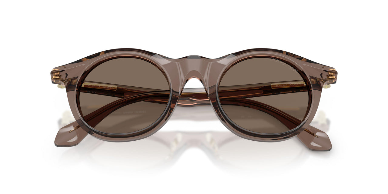 642073 - Brown - Brown