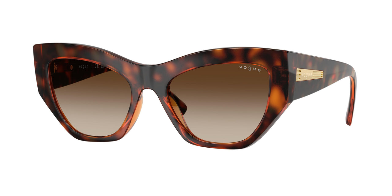 Vogue Eyewear 5607S Sunglasses