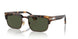 110231 - Tortoise - Green