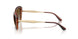W656T5 - Brown - Grey Gradient Brown Polar