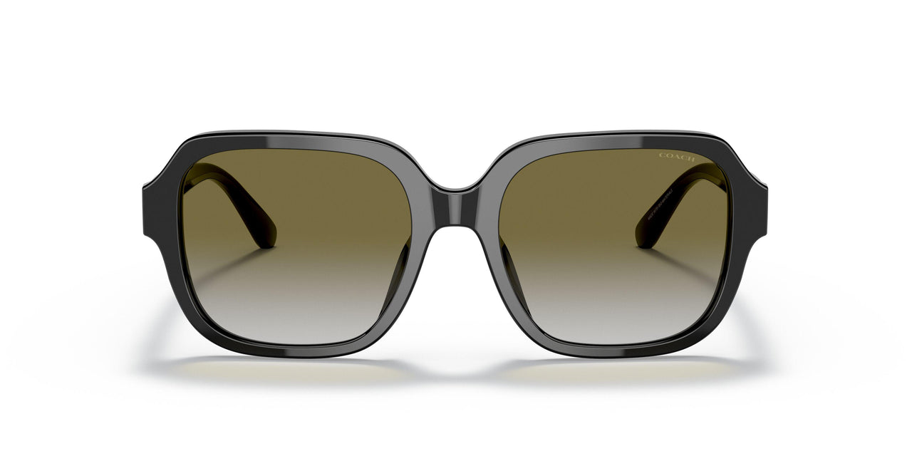 50027Z - Black - Olive Gradient