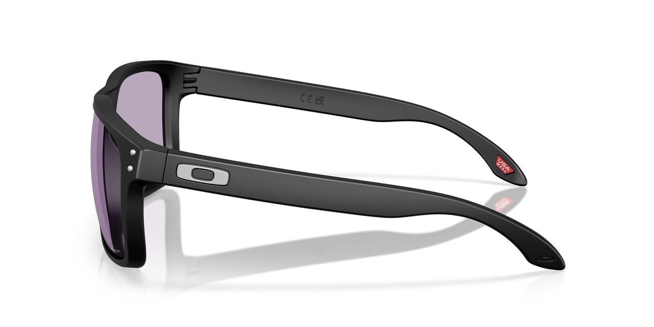 948703 - Black - Prizm Slate
