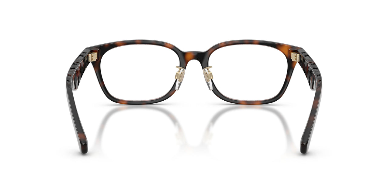 3002 - Brown