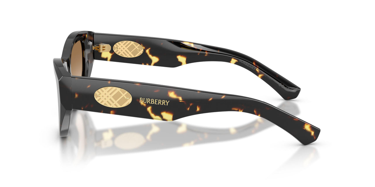410689 - Tortoise - Brown Gradient