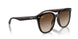 714/13 - Brown - Brown
