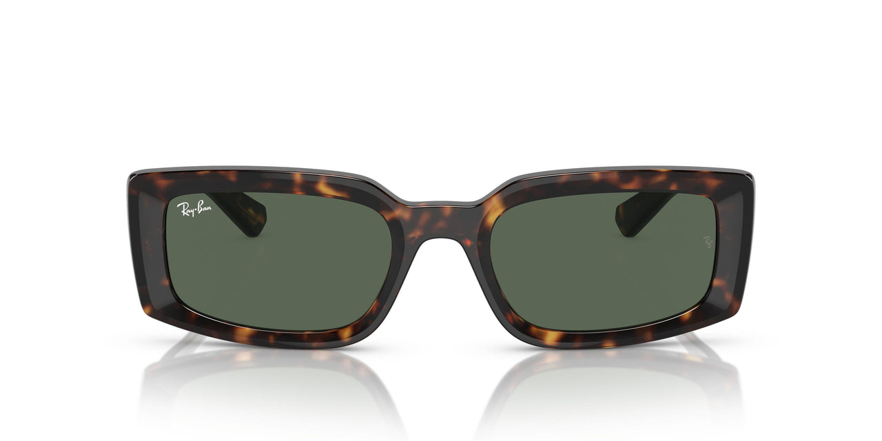 135971 - Tortoise - Grey Black