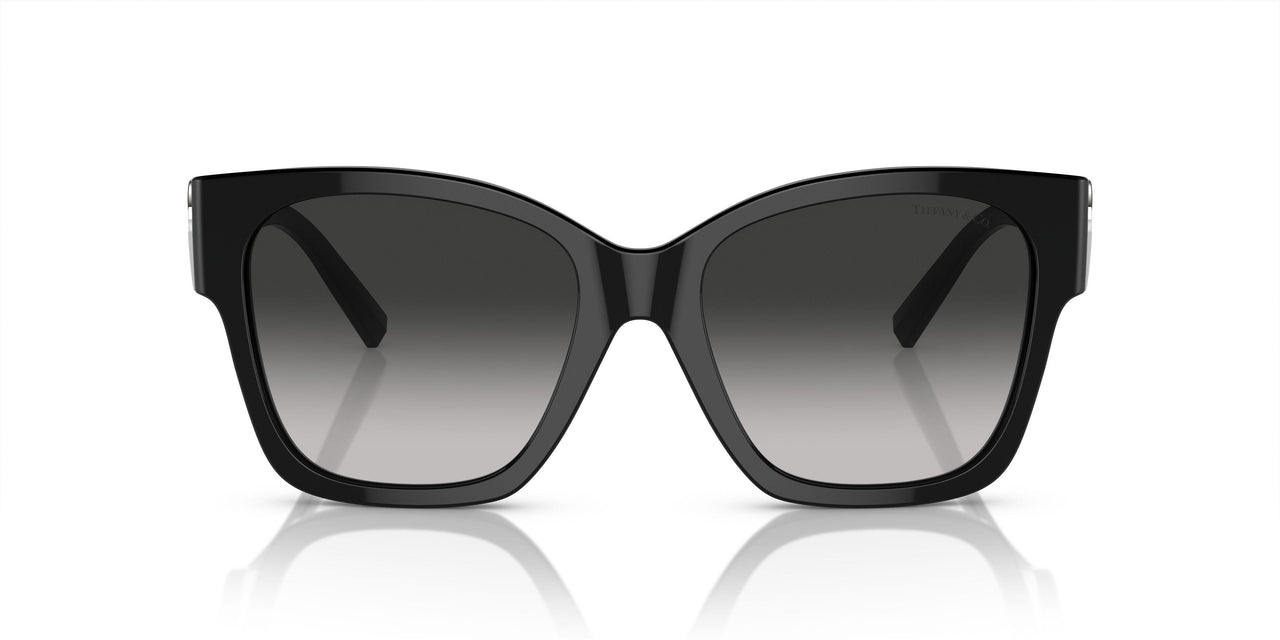 80013C - Black - Grey Gradient