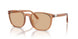 604873 - Brown - Light Brown