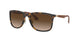 894/13 - Havana - Brown Gradient Dark Brown