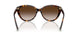 80153B - Tortoise - Brown Gradient
