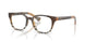 4202 - Brown