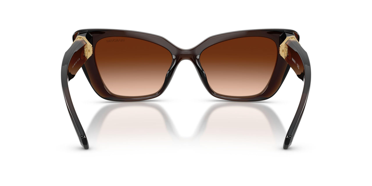 108474 - Brown - Brown Gradient