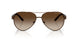 605813 - Brown - Gradient Brown