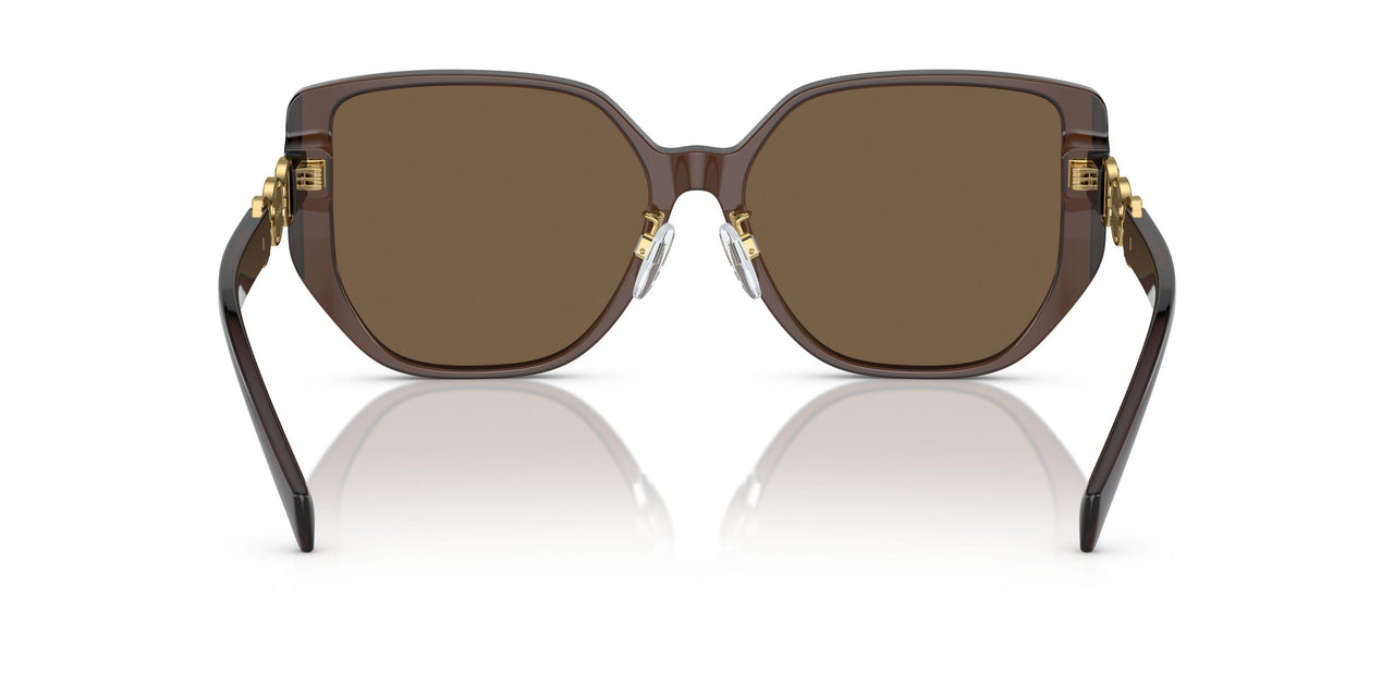 541673 - Brown - Dark Brown