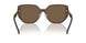 541673 - Brown - Dark Brown