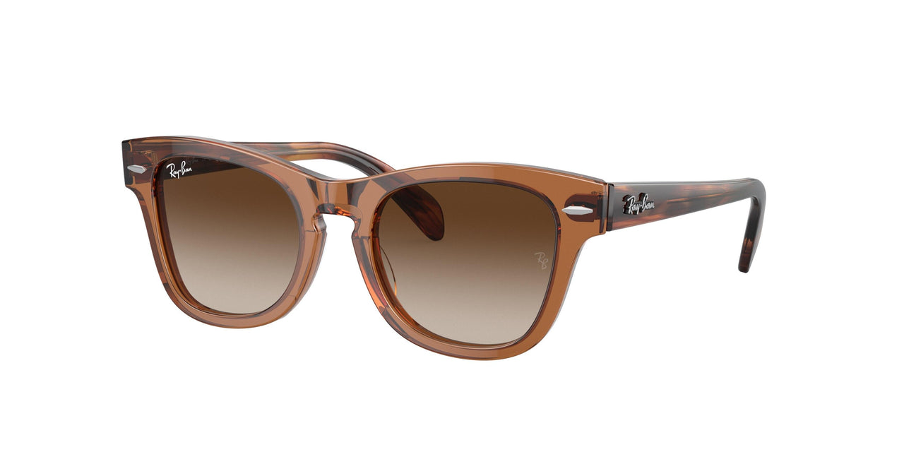 712713 - Brown - Brown Gradient