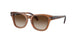 712713 - Brown - Brown Gradient