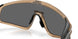 940407 - Brown - Prizm Black