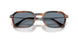 123556 - Brown - Light Blue