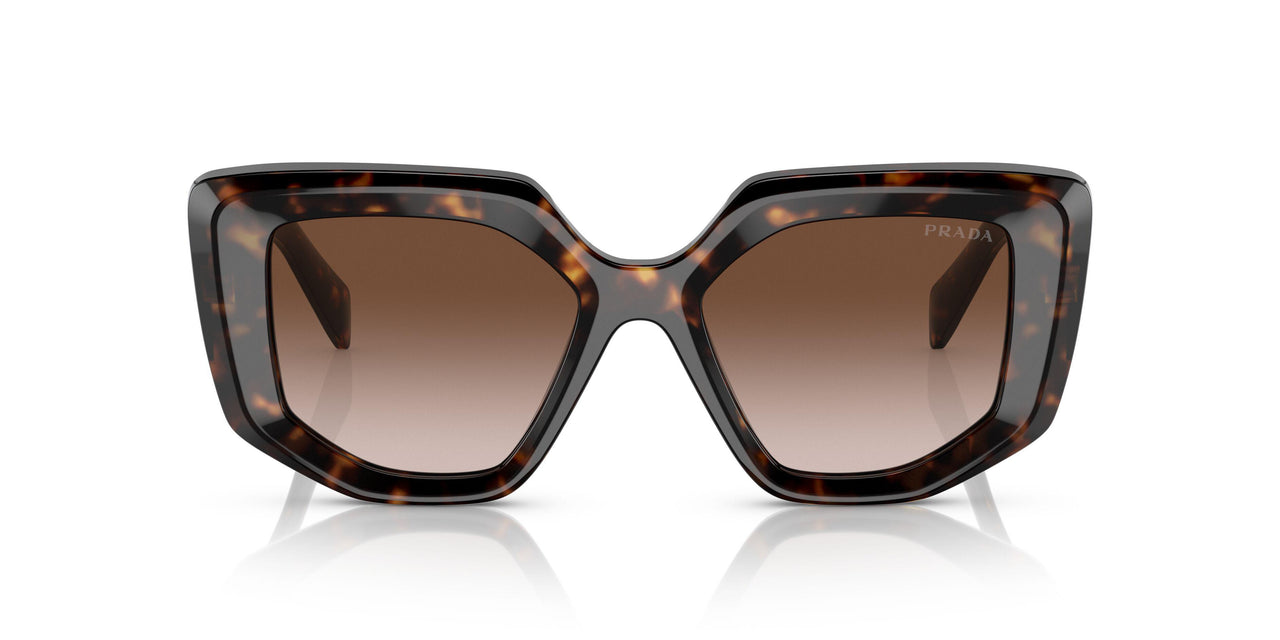 2AU6S1 - Havana - Brown Gradient