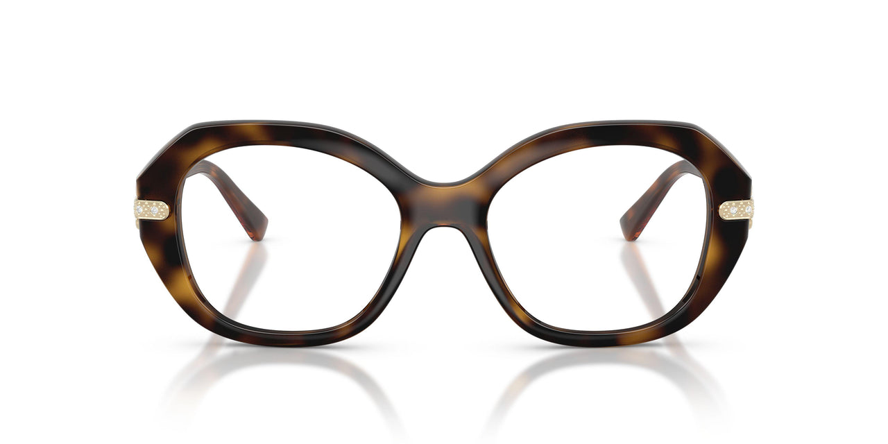 W656 - Brown