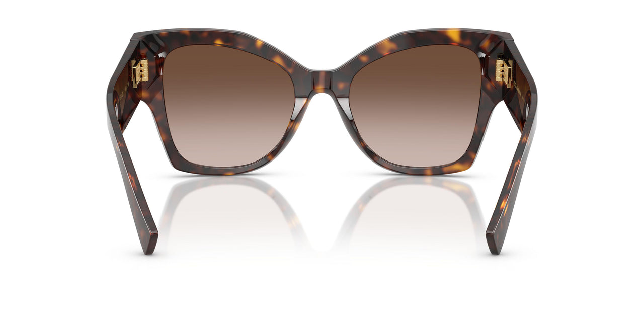 502/13 - Tortoise - Gradient Brown