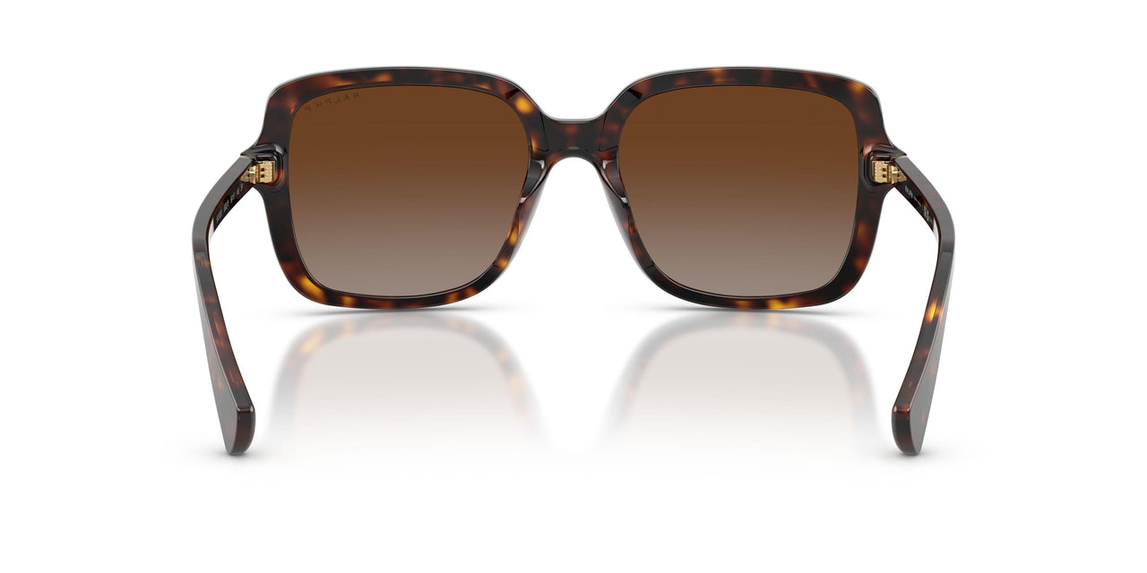 5003T5 - Tortoise - Polar Brown Gradient