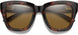 20588908652XC - Tortoise - Chromapop Brown