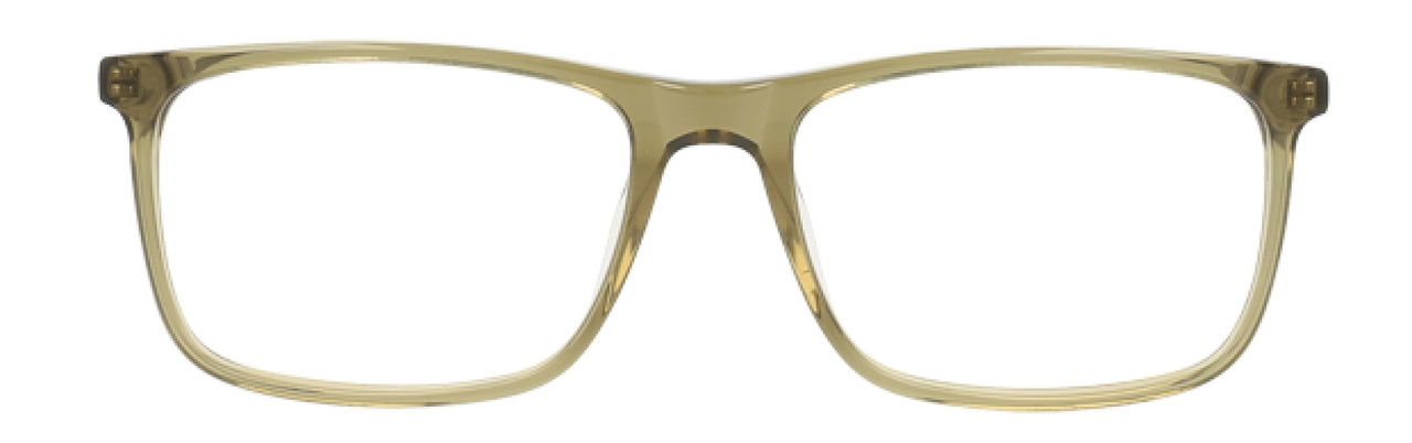301 - Olive