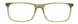 301 - Olive