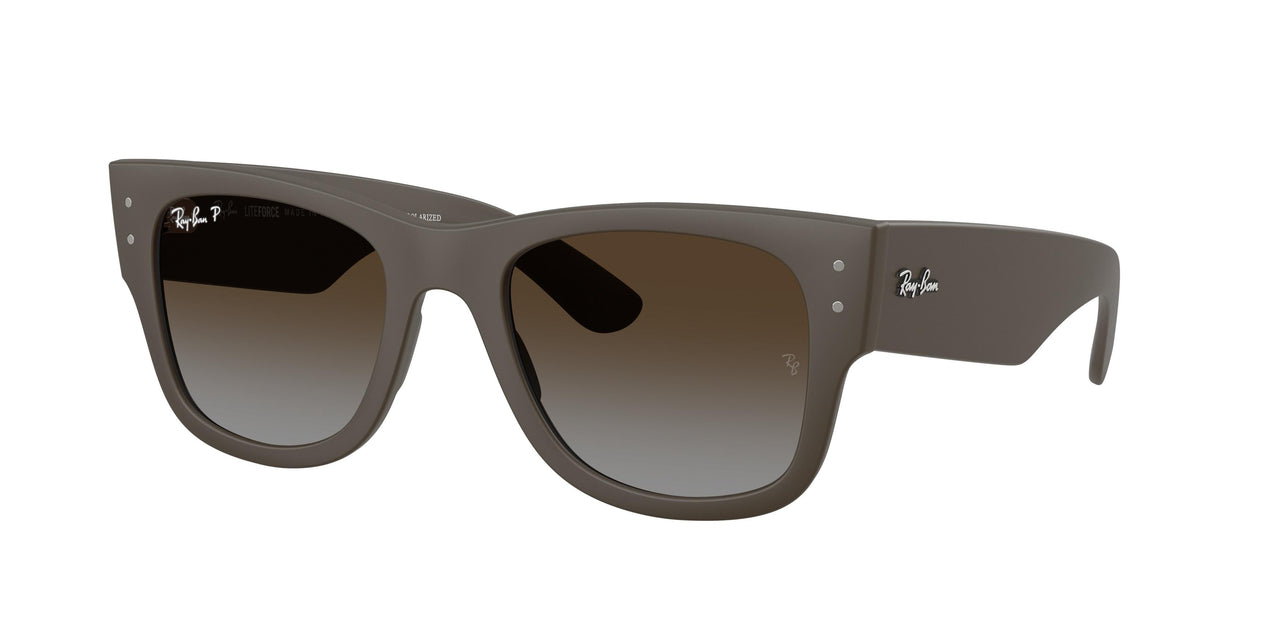 Ray-Ban 4840S Sunglasses