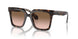 587951 - Tortoise - Brown Gradient