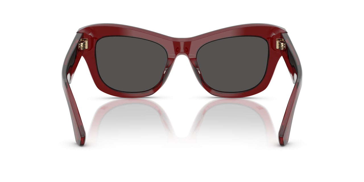 412887 - Red - Dark Grey