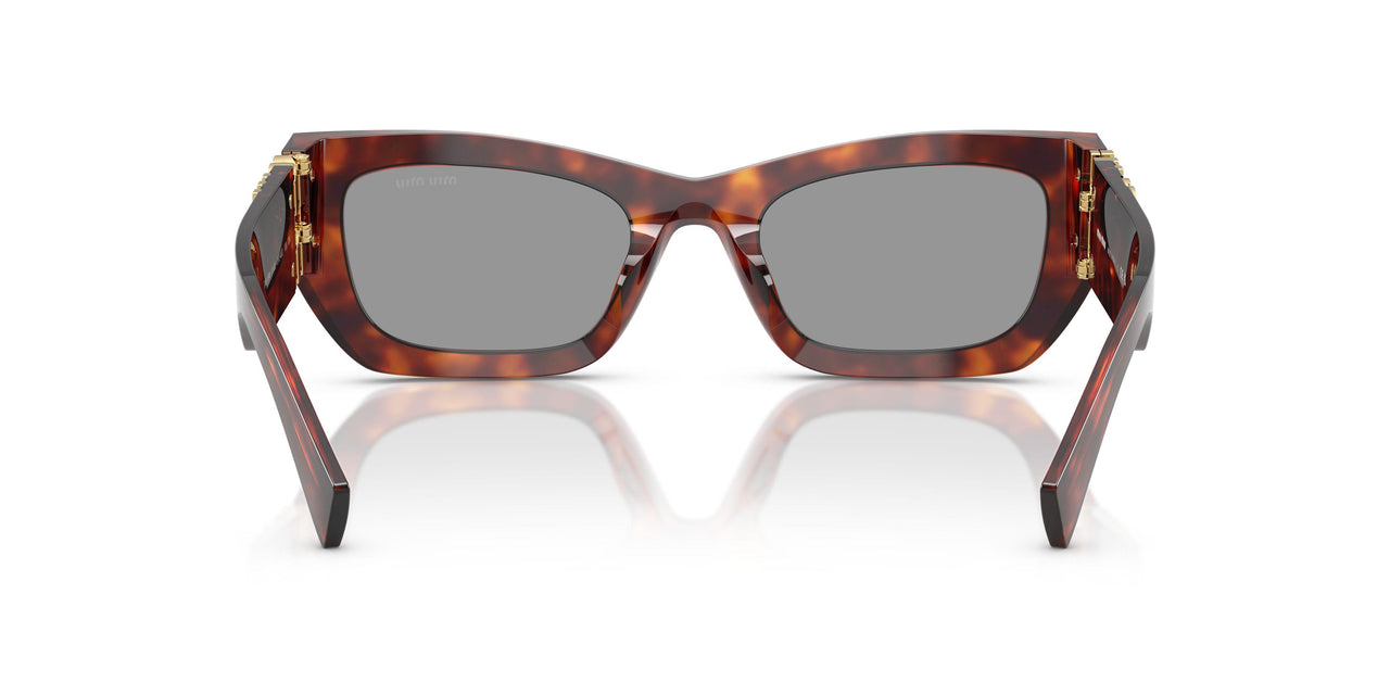 21C40O - Tortoise - Grey