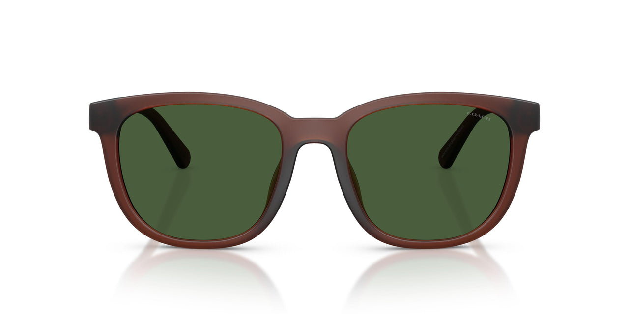 591171 - Brown - Green Solid