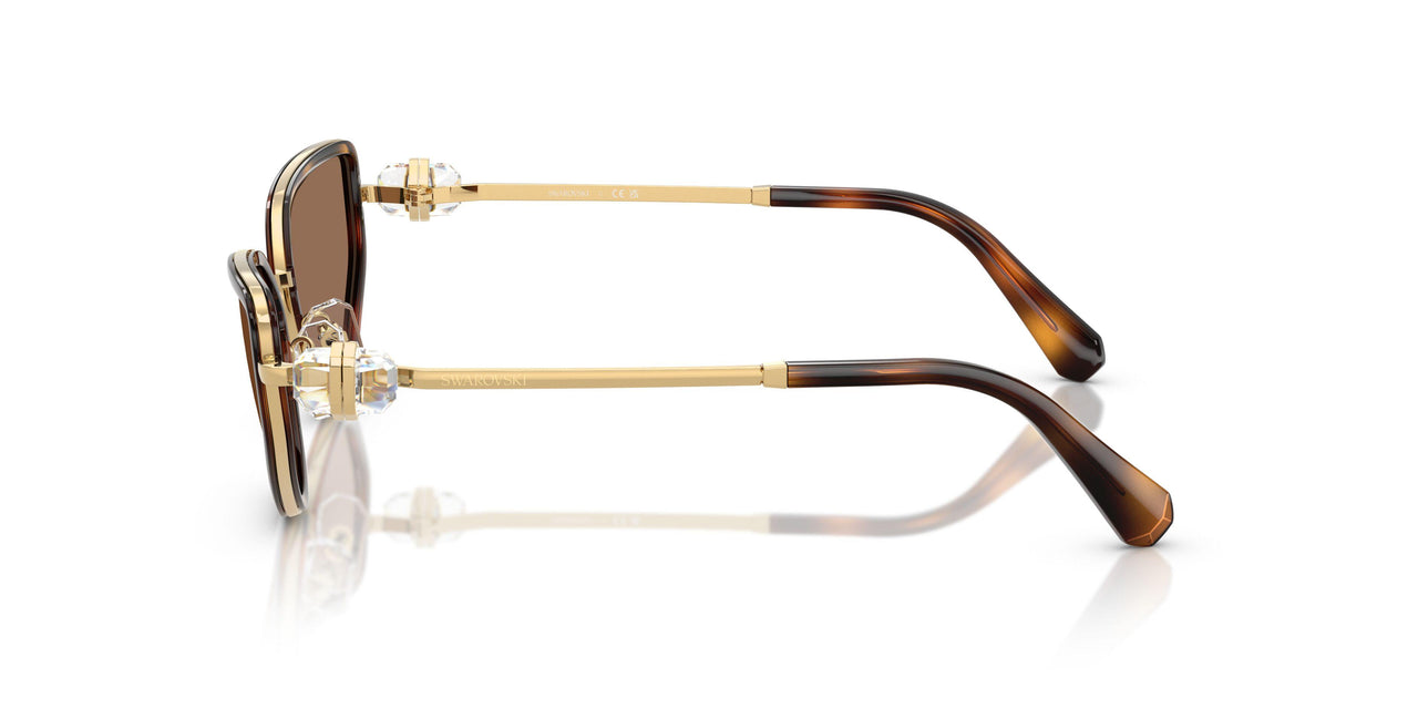 400473 - Gold - Dark Brown