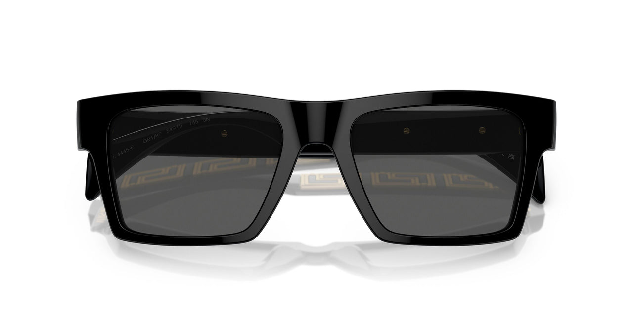 Versace 4445F Sunglasses