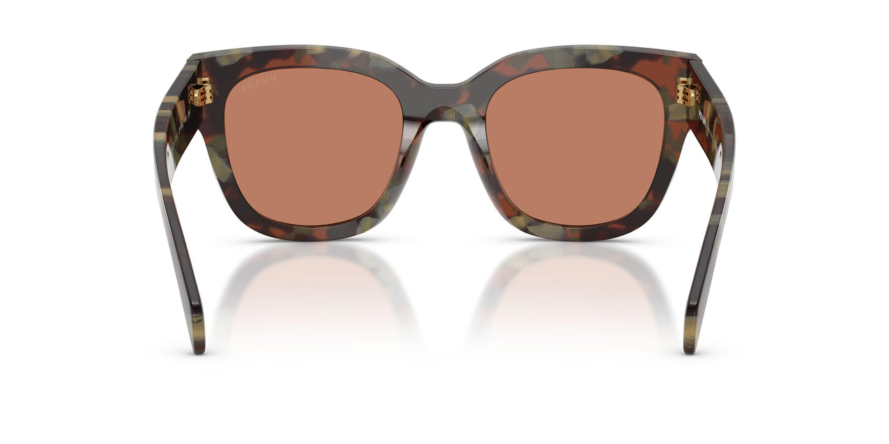 22F90Q - Tortoise - Brown