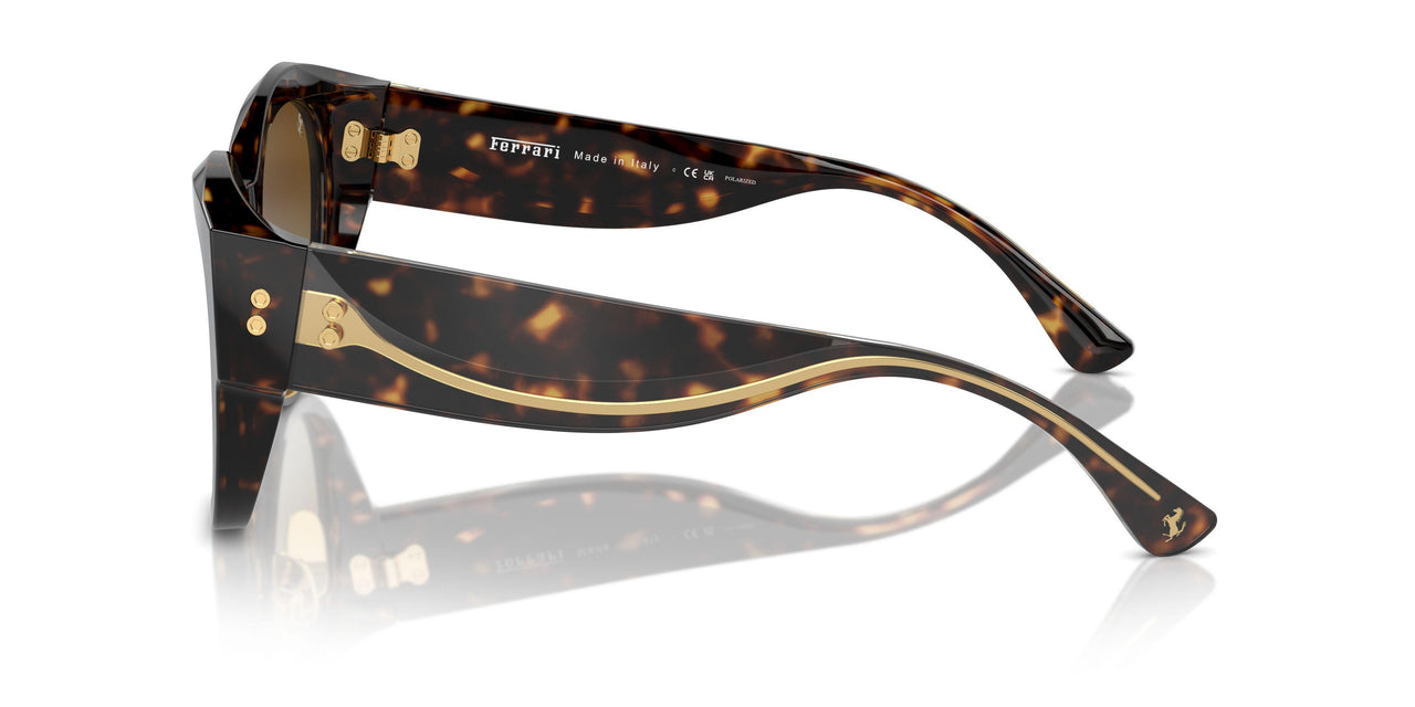 702/T5 - Tortoise - Brown Gradient Polar