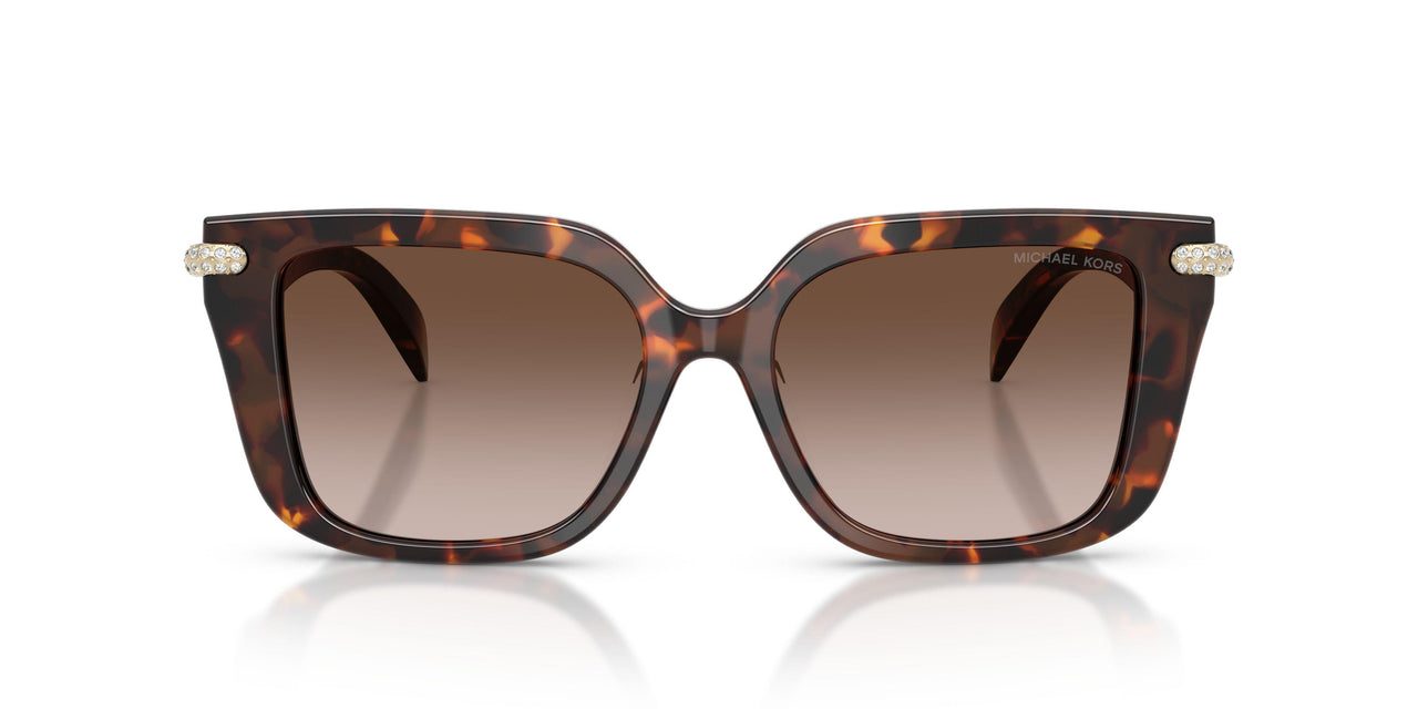 403113 - Tortoise - Smoke Gradient