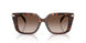 403113 - Tortoise - Smoke Gradient