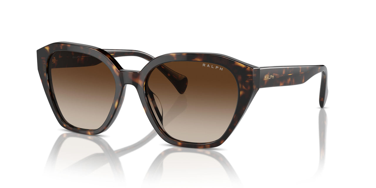 500313 - Brown - Gradient Brown