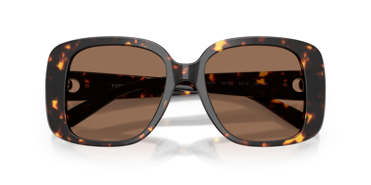 198173 - Tortoise - Brown