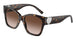 80153B - Tortoise - Brown Gradient