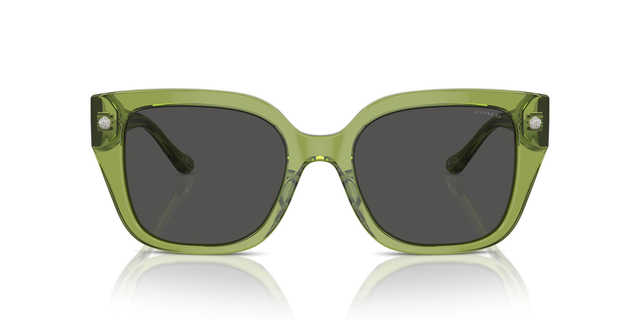 581087 - Green - Grey Solid